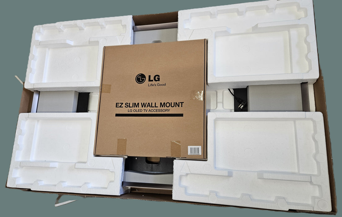 LG Electronics Canvas Speaker for 55EA880 OLED TV - Sound Frame