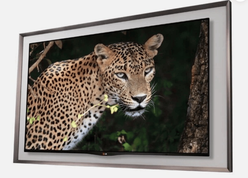 LG Electronics Canvas Speaker for 55EA880 OLED TV - Sound Frame